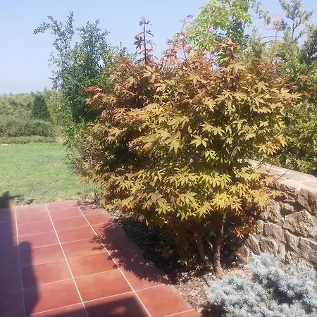 Elani Villas 52