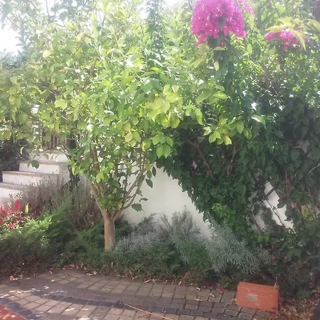 Elani Villas 52 Σπίτι διακοπών Σίβηρη